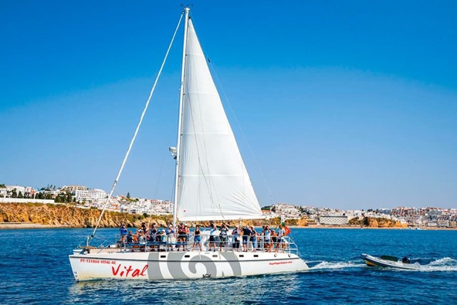 From Lagos : Ponta da Piedade & Coastline